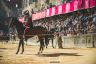 La gallery della quarta prova e della prova generale di Benedetta Aucone